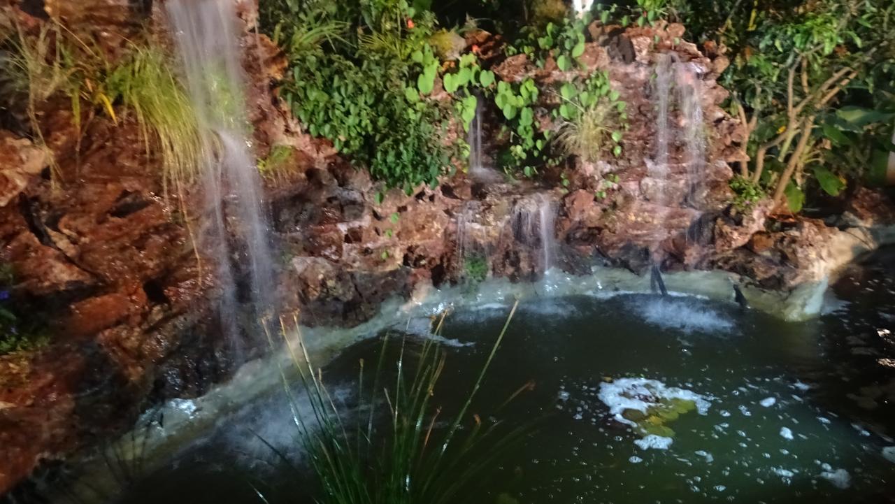 Mt Pleasant Bed And Breakfast Ltd Harare Bagian luar foto